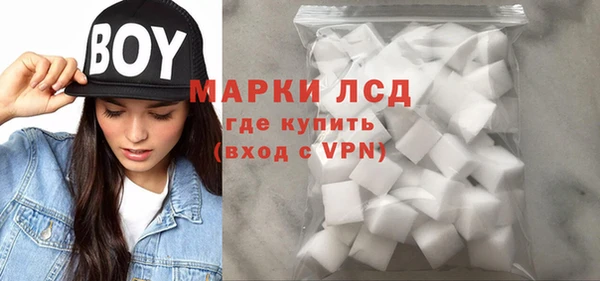 гашик Няндома