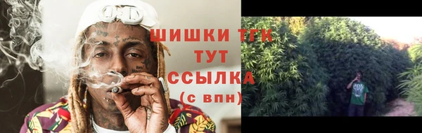 ешки Зеленодольск