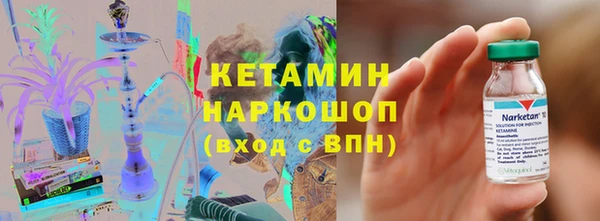 гашик Няндома