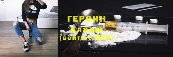 гашик Няндома