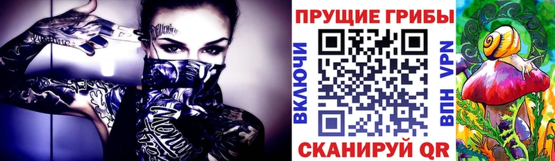 Купить где  Белоусово  Псилоцибиновые грибы мицелий 